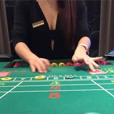 Filipino player browsing ace pro sports betting markets on mobile